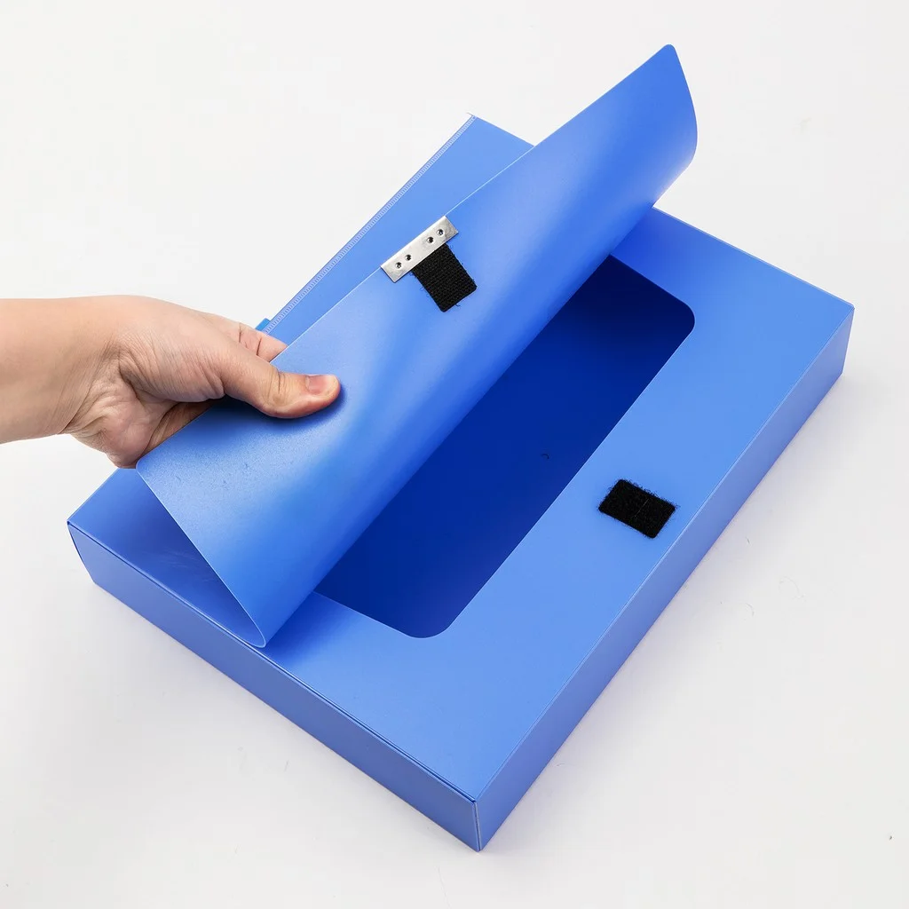 File hộp 5cm Deli W31115 - Ảnh 2