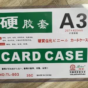 Alternative view of Card Case A3